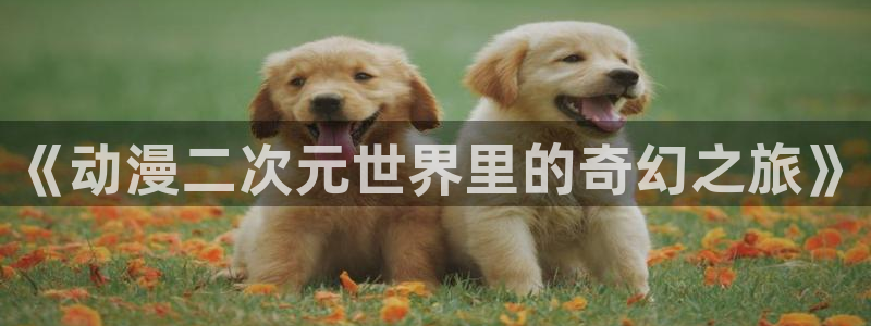 里番漫画网：《动漫二次元世界里的奇幻之旅》