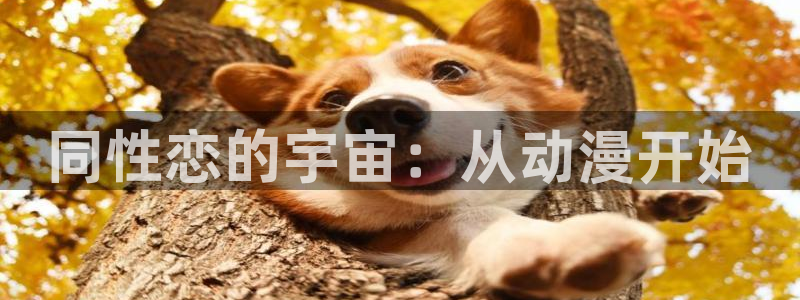 3d里番动漫大全：同性恋的宇宙：从动漫开始