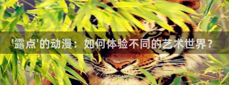 里番动漫片：\'露点\'的动漫：如何体验不同的艺术世界？