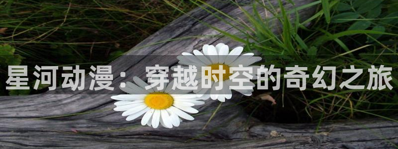 里番漫画少女：星河动漫：穿越时空的奇幻之旅