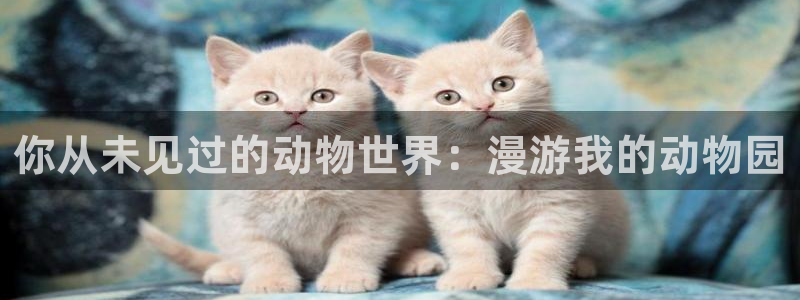 里番动漫伦理片：你从未见过的动物世界：漫游我的动物园