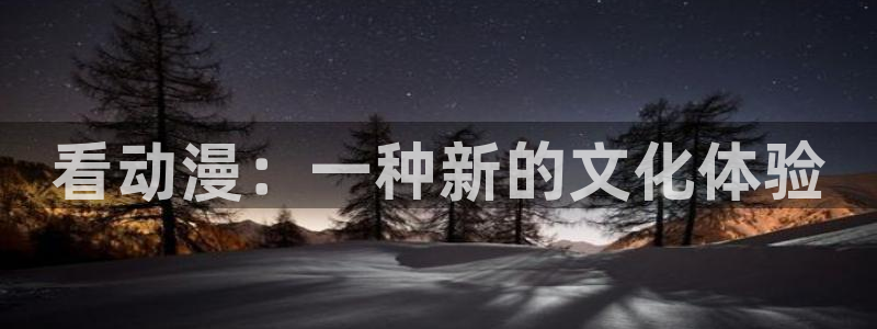 里番动漫在线观看免费：看动漫：一种新的文化体验