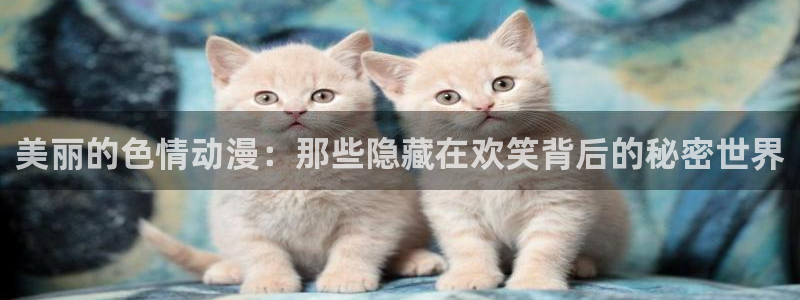 漫画全彩本子里番漫画：美丽的色情动漫：那些隐藏在欢笑背后的秘密世界