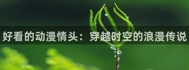 动漫里番漫画：好看的动漫情头：穿越时空的浪漫传说
