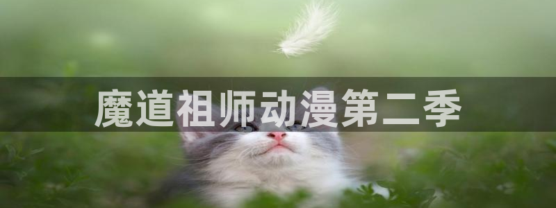 看里番动漫的软件：魔道祖师动漫第二季