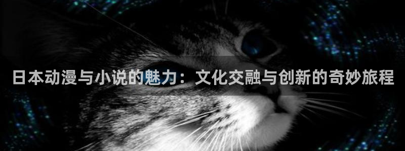 好看的里番推荐：日本动漫与小说的魅力：文化交融与创新的奇妙旅程