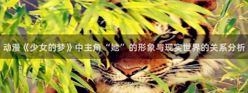 日本工口漫画里番：动漫《少女的梦》中主角“她”的形象与现实世界的关系分析